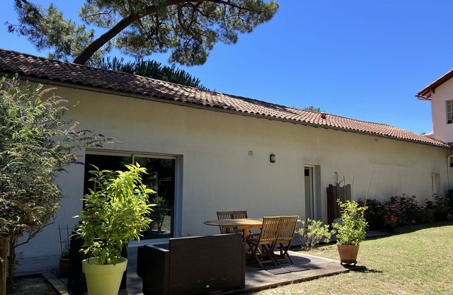 House feet in the sand, nature forest and beach on foot, Saint Palais/mer