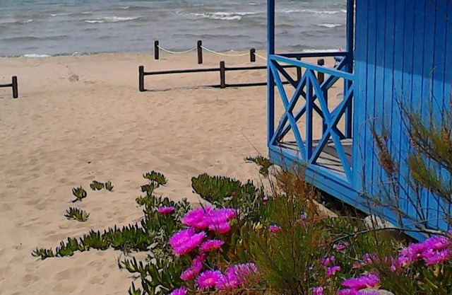 House just steps from the beach Mortelliccio away!