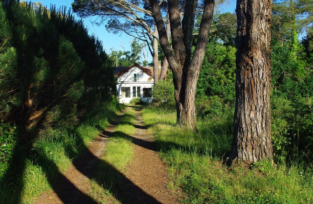 House - Large garden - calm and nature