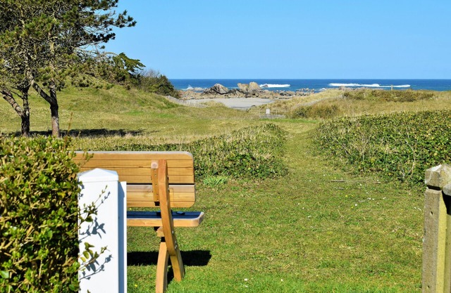 House on the dune, direct access to the beach (100m) and sea view