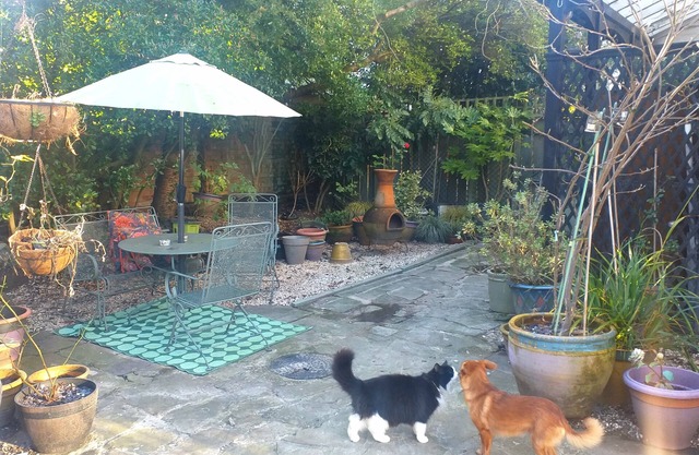 House - Sleeps 2, pet Friendly & Free Parking