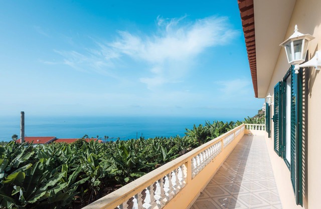 House/Villa - Arco da Calheta