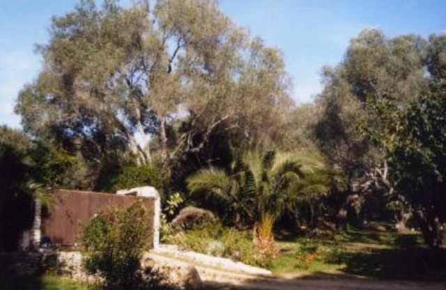 House/Villa - Bonifacio