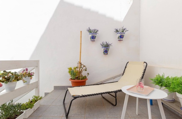 House with patio and terrace next to the center of Malaga