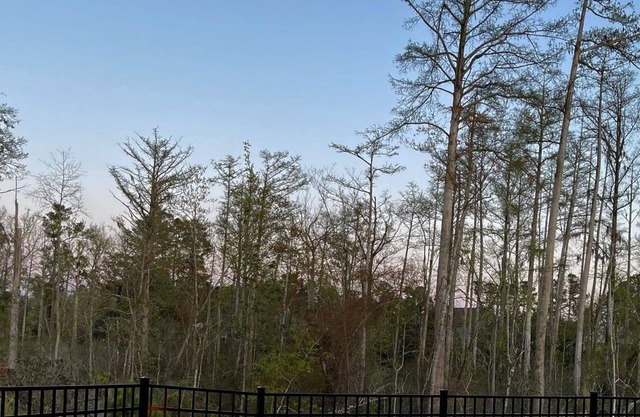 Huge Family House, Hot Tub, Firepit, Basketball, Sandbox