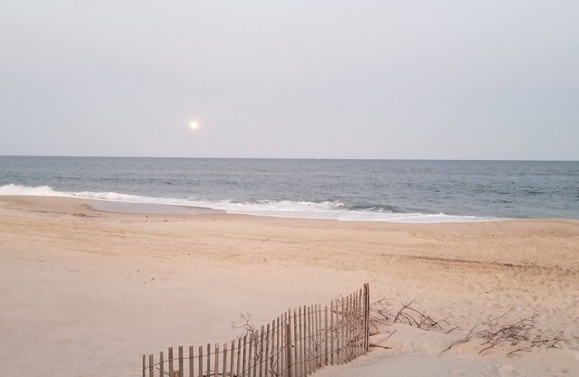 Idyllic Cozy Cottage in Davis Park, Fire Island - Weekly Rentals Now Available!