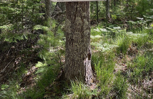 If you're looking for a relaxing Northwoods experience this is it! 2023 sale!