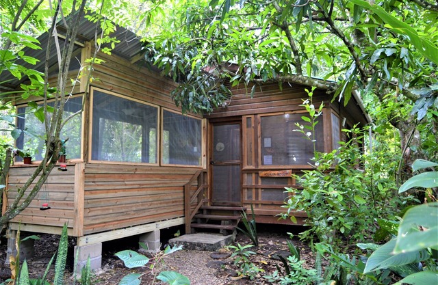 Iguana Roost for Explorers, Families or Travelers Welcome to The Tropical Acre