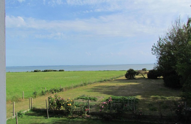 IN FRONT OF THE SEA. ALMOST PENERF ISLAND. WIRELESS.