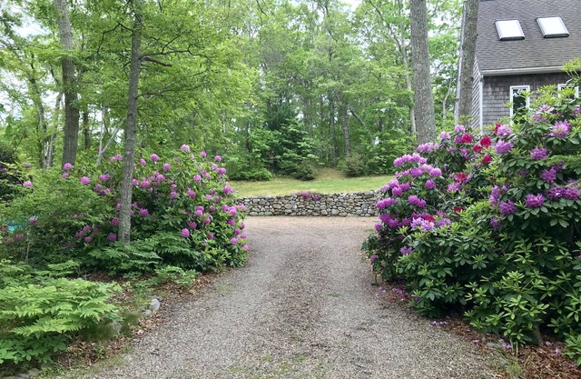 In the Woods/Walk to Town: Shared house w/1 other guest room