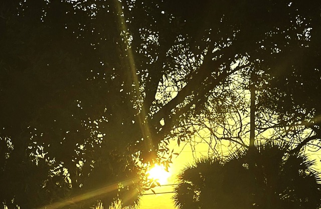 INDIAN RIVER GUEST HOUSE! Beautiful views overlooking the Indian River Lagoon!