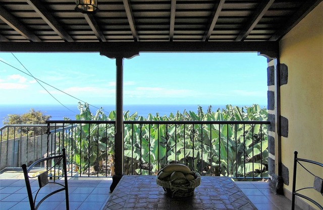 Intimate in a farm between banana trees and avocado trees to enjoy total relaxation