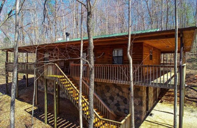 Into the Wild Cabin