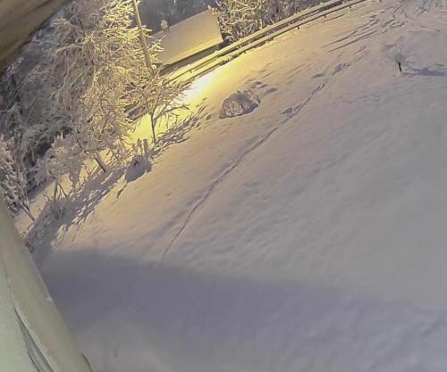 Jahorina Shack