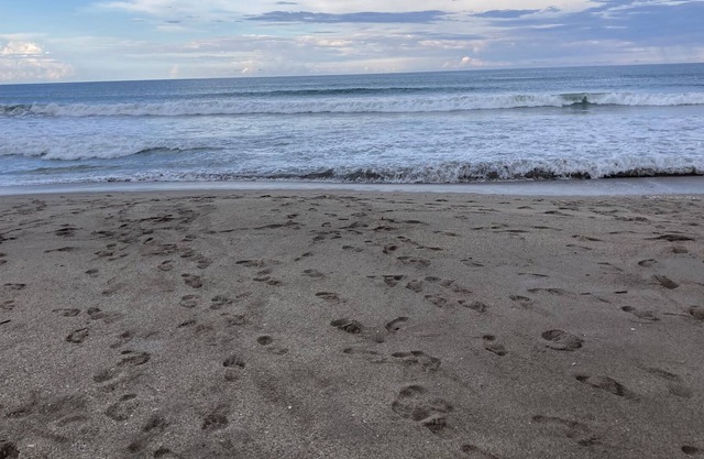Jan Feb March 2024 Oceanfront resort style community