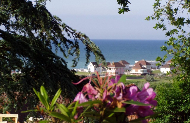 Jardin Apartment - sea view