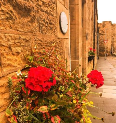 Juliet Cottage, late Georgian treasure, charming, cosy and historic, only a short walk to Alnwick Castle