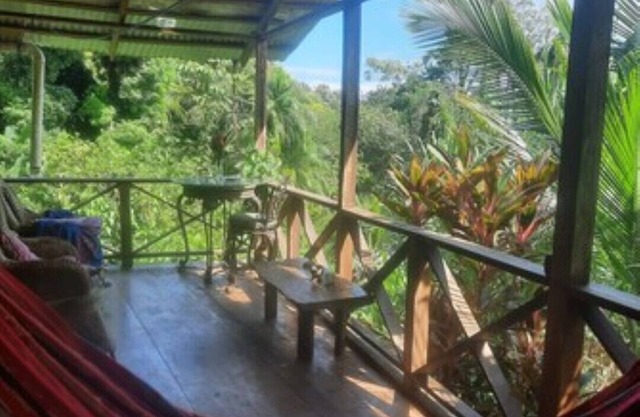 Jungle Cabin, with ocean views, monkeys and sloths 5 min walk to amenities