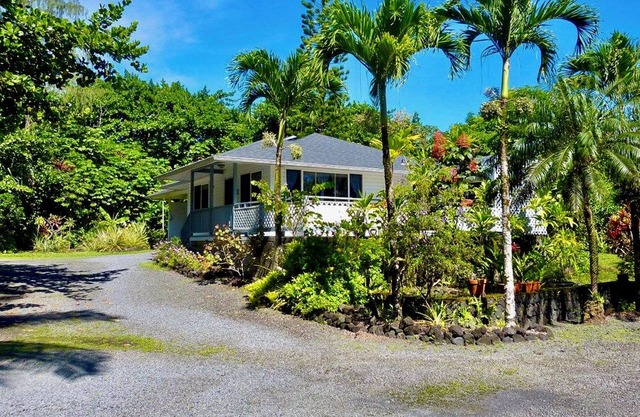 Jungle Cottage: Watch Whales