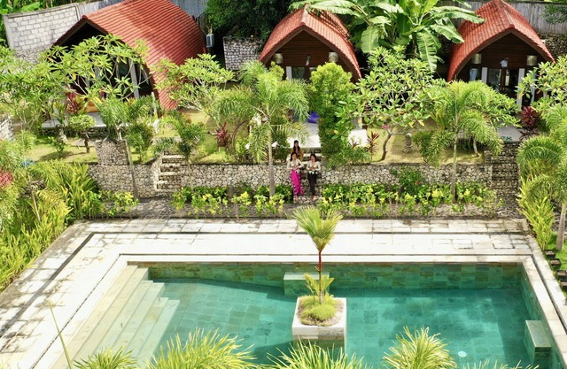 Jungle Paradise