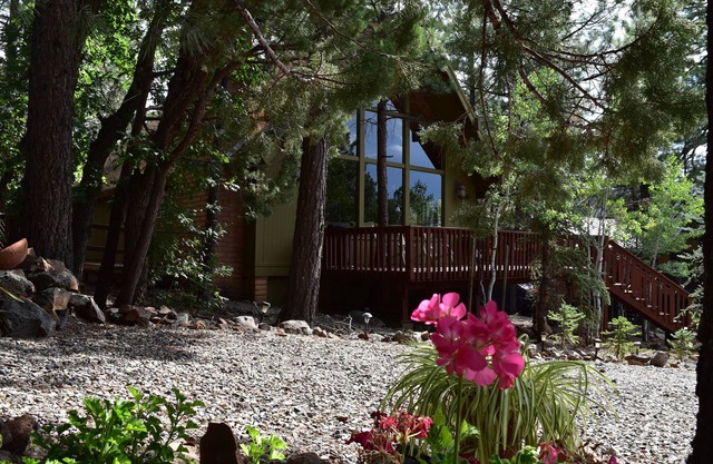 Juniper Chalet cabin backs to forest