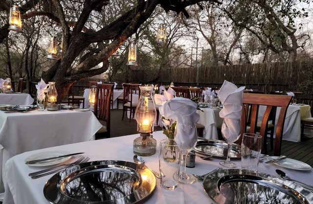Karongwe Portfolio - Shiduli Private Game Lodge