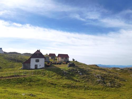 Katun Kuline