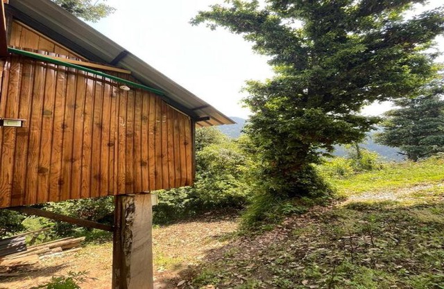 Khwaab the Cottages and Tree House
