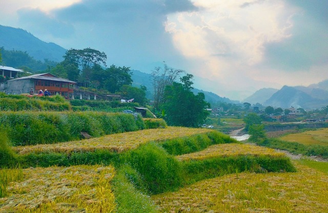 Kiêm Nguyễn homestay tả van