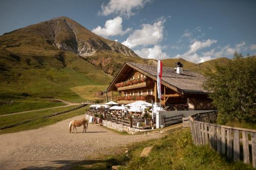 Kirchsteigeralm