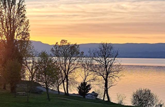 Léman art de Vivre, Appartement Bord du lac Léman, Accès Direct à la Plage
