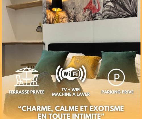 L'Oiseau du paradis, entre gare et centre ville, rez-de-chaussée, avec terrasse et parking privé