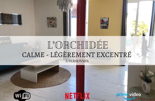 L'Orchidée - À 2 pas du Château de PAU