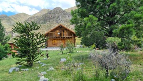 La Araucaria