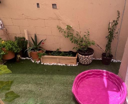 La casa de Bruno hotel canino