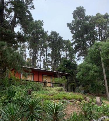 la casita del bosque