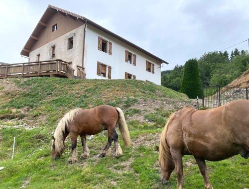 La Clé des Champs à Bussang - Gîte tout confort dans les Hautes Vosges