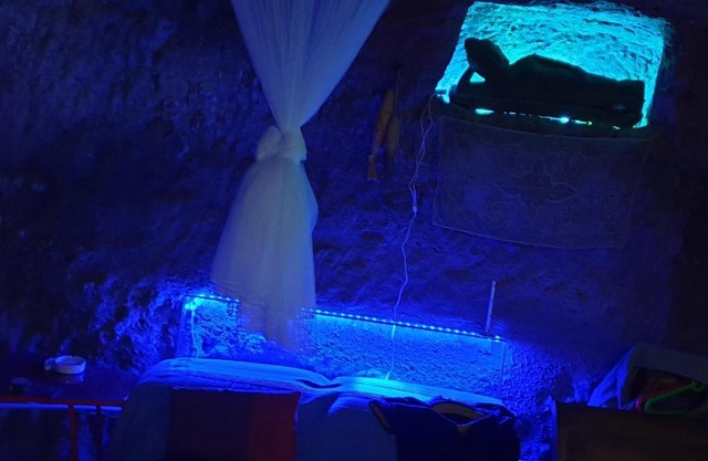 La Cueva de la Perra Vieja
