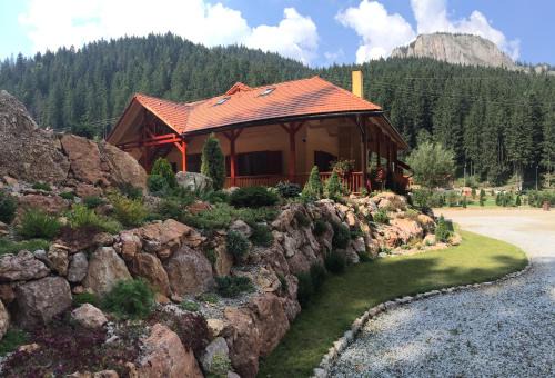Lacu Roșu Mountain Lodge
