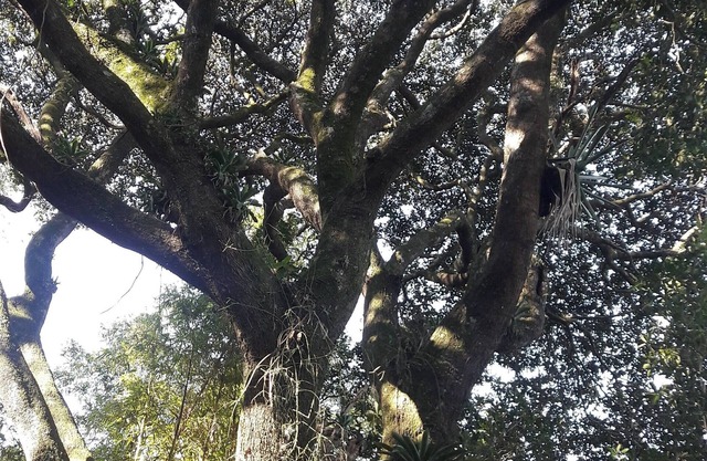Ladybug corner in front of Prarque and dam