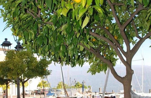 Lake Garda Piazza Apartment - St Loe