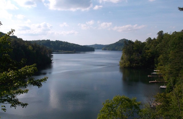 Lakefront Cottage . AWESOME View. NEW walkway/dock landing . Specials