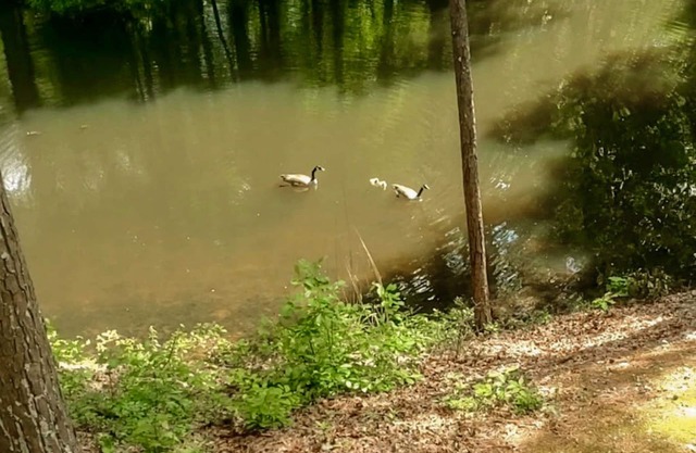 Lakefront Dog-Friendly Townhouse with Private Dock, Lake Views, Tennis, Golf