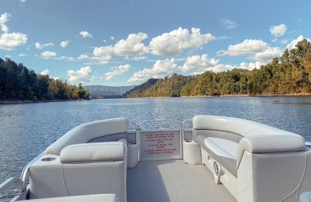 Lakeside Paradise in Blue Ridge Mountains