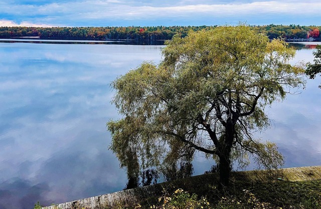 Lakeside Retreat - Peak Fall Colors, Fire Pit, Hiking, Near Lake MI