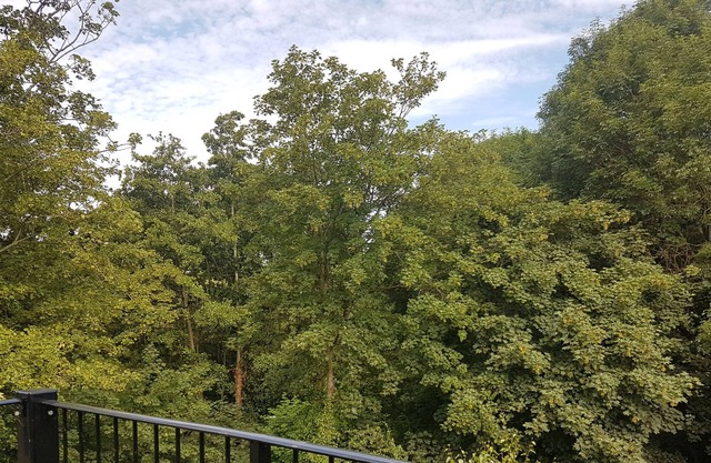 Lakeview Apartments and Rooms