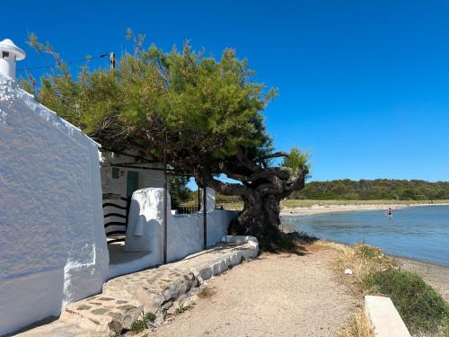 Lamorino una casa en la playa