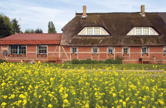 Landhaus Maltzien on Rügen on the Baltic Sea -Fewo Oie