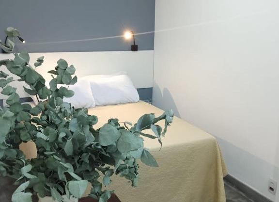 Lapa Bed & Breakfast