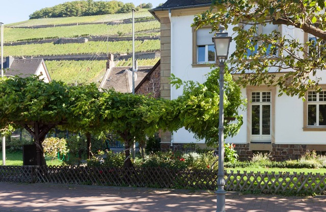 Large apartment overlooking the Rhine